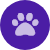 purple paw