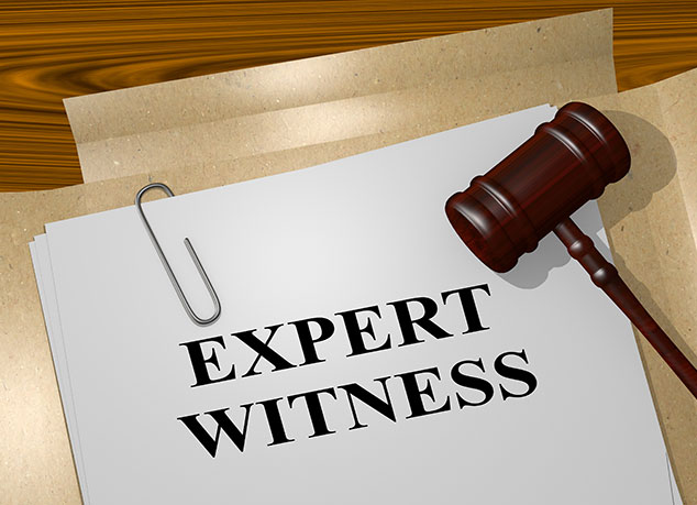 expert witness