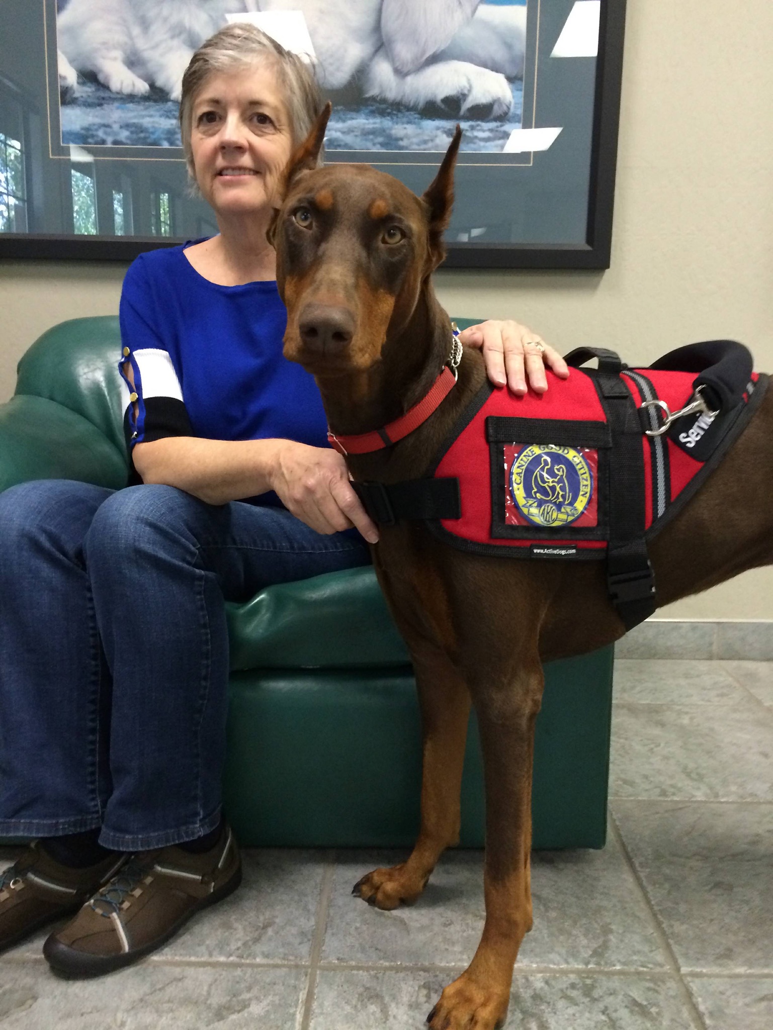 are dobermans good emotional support dogs