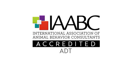 IAABC accredited