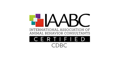 IAABC certified